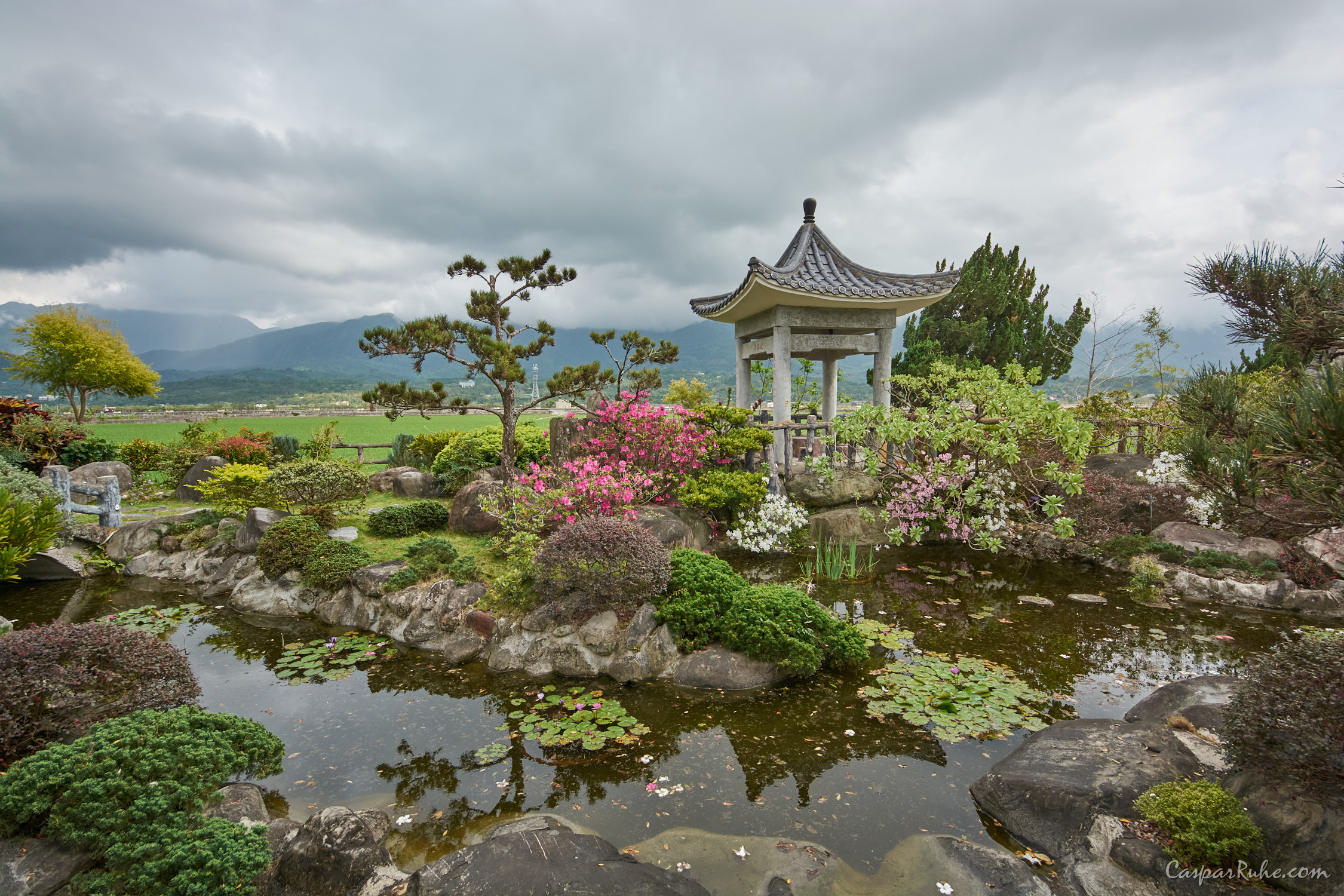 Tu Garden